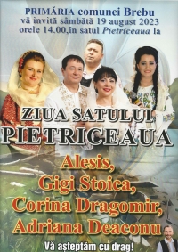 ZIUA SATULUI PIETRICEAUA