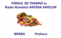 BREBU - T&Acirc;RGUL DE TOAMNĂ la Radio Rom&acirc;nia ANTENA SATELOR